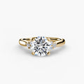 Completed Ring (United States Size 5.50)